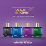 Buy Wild Stone King Eau De Parfum - Luxury Perfume for Men 100 ml - Purplle