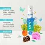 Buy Secret Temptation Te Amo Aqua & Breeze Perfume Body Spray for Women pack of 2 (120 ml each) - Purplle