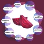 Buy Ecoberry Beetroot Lip Balm 8 gm - Purplle