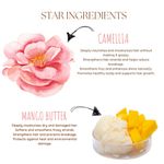 Buy Ecoberry Camellia Mango Butter Balm - Leave In Hair Conditioner 40 gm - Purplle