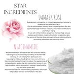 Buy Ecoberry Damask Rose Face Wash Powder 30 gm - Purplle