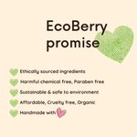 Buy Ecoberry Koraikizhangu Turmeric Instant Herbal Hair Removal Powder 100 gm - Purplle