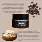 Buy Ecoberry Mineral Bb Cream 15 gm - Purplle