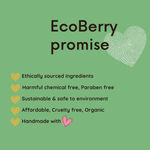 Buy Ecoberry Neem Turmeric Face Wash Powder 30 gm - Purplle