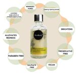 Buy Ecoberry Papaya Enzyme Face Wash Powder 30 gm - Purplle