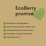 Buy Ecoberry Papaya Enzyme Face Wash Powder 30 gm - Purplle