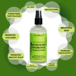 Buy Ecoberry Pure Natural Hydrosol Rosemary 100 ml - Purplle