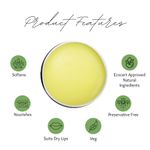 Buy Ecobery Murumuru Butter Lip Balm For Men 8 gm - Purplle