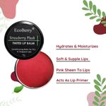 Buy Ecoberry Strawberry Plush Tinted Lip Balm 8 gm - Purplle