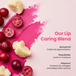 Buy NY Bae Cranberry Tinted Lip Balm with SPF 22 – Rich Berry Pink Tint | Deeply Moisturizing Lip Color with Shea Butter, Almond Oil & Vitamin E | Soft, Plump & Naturally Rosy Lips - Purplle