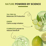 Buy Alps Goodness Tea Tree Oil, Lemon & Climbazole Anti-Dandruff Shampoo for Oily Scalp (290 ml) | Silicones & Parabens Free I Gentle & Mild Cleansing Shampoo l Shampoo for Oily Hair & Scalp - Purplle