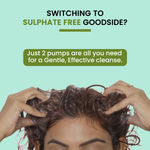 Buy Alps Goodness Aloe Vera, Almond Oil & Climbazole Anti-Dandruff Shampoo for Dry Scalp (290 ml) I  Shampoo for Dry Scalp & Hair | Anti-Dandruff Shampoo | Gentle & Mild Cleansing Shampoo | Sulphate Free, Silicone Free, Paraben Free - Purplle