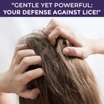 Buy Sanfe anti lice & dandruff shampoo | lice shampoo | kills super lice | detects & prevents infestation | no parabens, sulfates or dyes | with tea tree oil & eucalyptus | for kids & adults | 100 ml - Purplle
