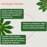 Buy Earthgenix Papaya Face Wash Scrub with Pro Vitamin B5 - 100 ml - Purplle