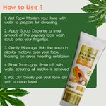 Buy Earthgenix Papaya Face Wash Scrub with Pro Vitamin B5 - 100 ml - Purplle