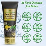 Buy Earthgenix Charcoal & Lemon Zest Face Wash with Pro-Vitamin B5 - 100 ml - Purplle