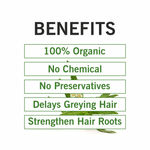 Buy TQS 100% Natural & Organic Reetha, Amla, Shikakai, Bhringraj, Hibiscus, Henna & Indigo Powder Set - 280 gm - Purplle