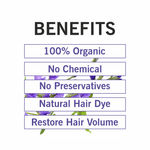 Buy TQS 100% Natural & Organic Reetha, Amla, Shikakai, Bhringraj, Hibiscus, Henna & Indigo Powder Set - 280 gm - Purplle