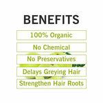 Buy TQS 100% Natural & Organic Reetha, Amla, Shikakai, Bhringraj, Hibiscus, Henna & Indigo Powder Set - 280 gm - Purplle