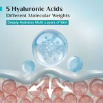 Buy Pilgrim Korean Rice Water Light Gel Hydra Glow Moisturizer with 5x Hydration 100 gm Each Pack of 2 - Purplle