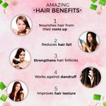 Buy Indus valley onion hair fall control shampoo with conditioner 200 ml - Purplle