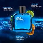 Buy Wild Stone Hydra Energy Spray Perfume (100 ml) - Purplle