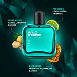 Buy Wild Stone Edge Parfum for Men, Long Lasting Refreshing Every day Wear Fragrance, 100 ml|Premium Perfume|Gift for Husband - Purplle