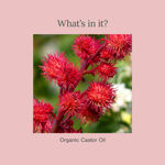 Buy Juicy Chemistry Organic Castor Oil, 30 ml | 100% Pure, Cold-Pressed & Certified Organic | Promotes Hair Growth | Strengthens Lashes & Brows | Deeply Moisturises Skin - Purplle