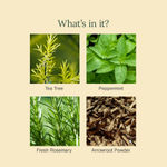 Buy Juicy Chemistry Organic Dusting Powder Fortified with Tea Tree + Peppermint, 100 gm | Controls Sweat, Odour & Itching | Refreshing & Cooling Body Powder | Talc-Free | Non-Toxic - Purplle