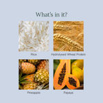 Buy Juicy Chemistry Certified Organic Brightening Enzyme Cleanser with Rice & Hydrolysed Wheat Protein, 50 gm | Gently Exfoliates | Brightens & Smoothens Skin | Powder-to-Foam Natural Cleanser | For Men & Women - Purplle