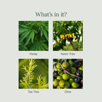 Buy Juicy Chemistry Certified Organic Acne Control Face Wash with Hemp & Tea Tree, 110 ml | Fades Dark Spots | Evens Skin Tone & Restores Glow | Certified Organic, Sulphate-Free & Gentle Cleanser | For Men & Women - Purplle