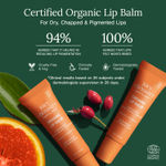 Buy Juicy Chemistry Organic Lip Balm Fortified with Blood Orange & Rosehip, 10 gm | Deeply Moisturising & Brightening Lip Care | 100% Natural | Certified Organic & Cruelty-Free - Purplle