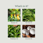 Buy Juicy Chemistry Organic Anti-Dandruff Shampoo Fortified with Rosemary & Tea Tree, 200 ml | Reduces Itchy Scalp & Flakiness | Gentle, Natural Hair Care - Purplle