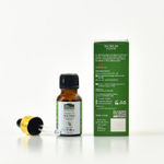 Buy Indus Valley Bio Organic Tea Tree Essential Oil (15 ml) - Purplle