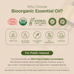 Buy Indus Valley Bio Organic Tea Tree Essential Oil (15 ml) - Purplle