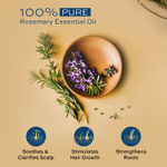 Buy Parachute Advansed Rosemary Essential Oil | 100% Pure | for Thick & Voluminous Hair | Moisturises dry hair, Reduces hair breakage, Improves hair Resilience, Promotes Healthy-Looking Hair - 14 ml - Purplle