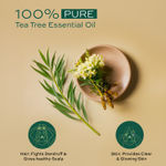 Buy Parachute Advansed Tea Tree Essential Oil | 100% Pure| for Dandruff Control & Glowing Skin | Moisturises dry hair, Controls Dandruff , for Healthy & Clear looking Skin - 14 ml - Purplle