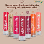 Buy Himalaya Herbals Rich Cocoa Butter Lip Care (4.5 gm) - Purplle