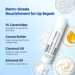 Buy DermDoc 2% Niacinamide + 2% Vitamin E Vanilla Lip Defense Lip Balm SPF 50 PA+++ | Hydrates, Repairs & Protects Dry, Chapped Lips | UV Defense + 4 Hr Water Resistance | Deep Moisturization Coconut & Almond Oil - 4 gm - Purplle