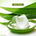 Buy Vivel Aloe Vera Bathing Soap with Vitamin E for Soft, Glowing skin|Refreshing Fragrance|Combo Pack 150g - Purplle
