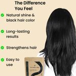 Buy The Wellness Shop Natural Black Hair Colour 100 gm - Purplle