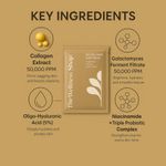 Buy The Wellness Shop Bio collagen melting sheet mask - hydrating, firming and brightening overnight sheet mask 34 gm - Purplle