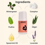 Buy The Wellness Shop Period Cramp Relief Roll On 40 ml - Purplle