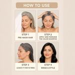 Buy The Wellness Shop Instant Hair Colour Shampoo (Black) 75 ml - Purplle