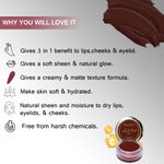 Buy Seven Seas Lip & Cheek Tint - 02 Maroon (8 gm+B28) | Enriched with Vitamin C For Lips, Eyelids & Cheeks, Matte Finish - Purplle