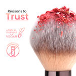 Buy Swiss Beauty Bake Me Up Blush & Highlighter | 2-In-1 Baked Formula - 12 gm, Baked Apricot - Purplle