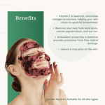 Buy Herbal Mitra Pure & Natural Beetroot Face Pack 100 gm For Skin Brightening, Healthy Pinkish Skin & Rosy Cheeks, Glowing & Shiny Skin | Paraben & Sulphate Free - Purplle