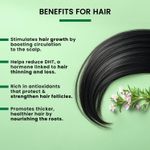 Buy Alps Goodness Hairfall Prevention Kit | Hibiscus & Methi Powder (50 gm) | Rosemary Essential Oil (30 ml) | Pure Rose Water Spray (100 ml) Combo of 3 - Purplle