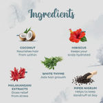 Buy Parachute Advansed Ayurvedic Hot Oil (300 ml) - Purplle