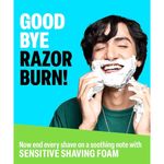 Buy Bombay Shaving Company Sensitive Shaving Foam, 266 ml | (33% Extra) with Aloe Vera & Oats - Purplle